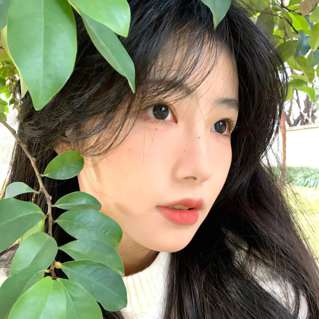 致琪亚拉